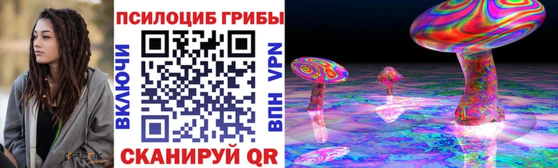 Псилоцибиновые грибы Psilocybine cubensis  Купить  Киренск 