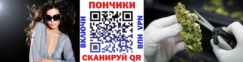 Шишки марихуана THC 21%  Купить где  Киренск 
